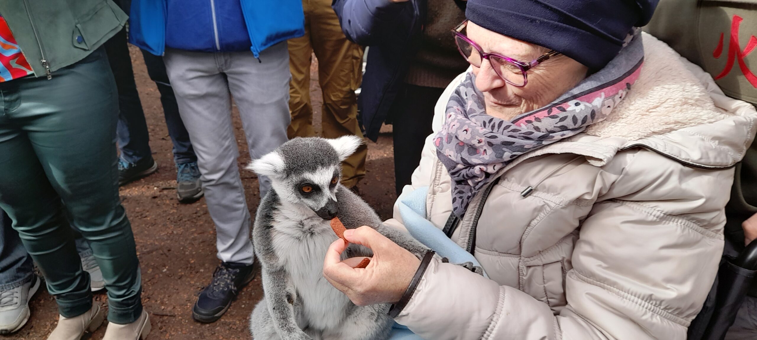 Découvrir les animaux dans un des plus beau Zoo d'Europe